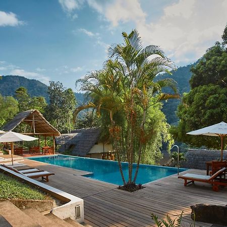 Pumarinri Amazon Lodge Tarapoto Εξωτερικό φωτογραφία