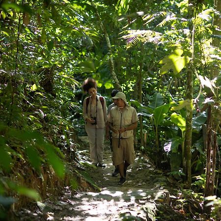 Pumarinri Amazon Lodge Tarapoto Εξωτερικό φωτογραφία