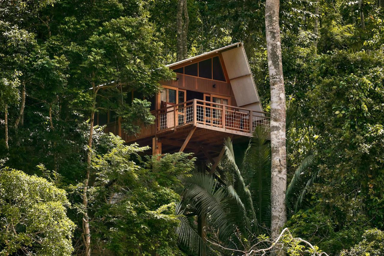 Pumarinri Amazon Lodge Tarapoto Εξωτερικό φωτογραφία