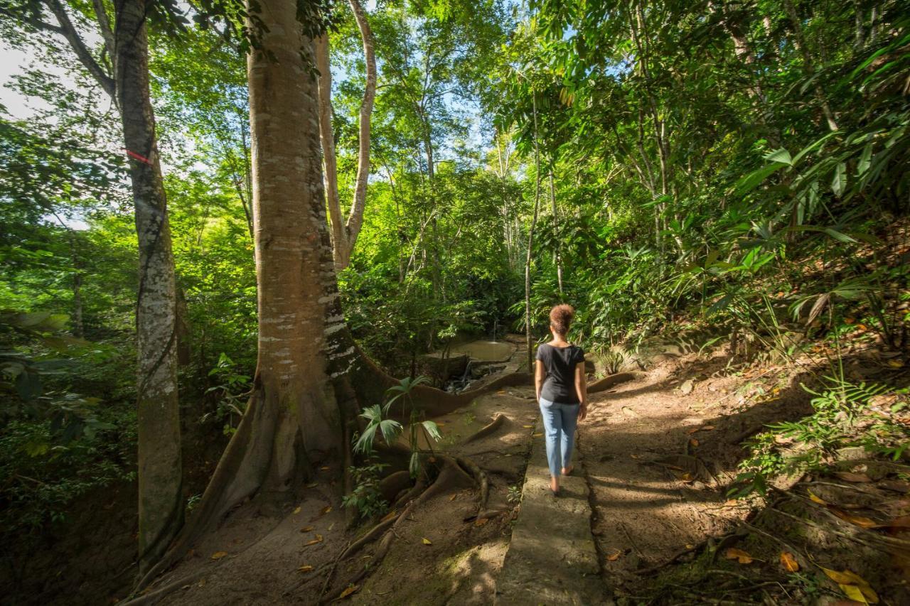 Pumarinri Amazon Lodge Tarapoto Εξωτερικό φωτογραφία