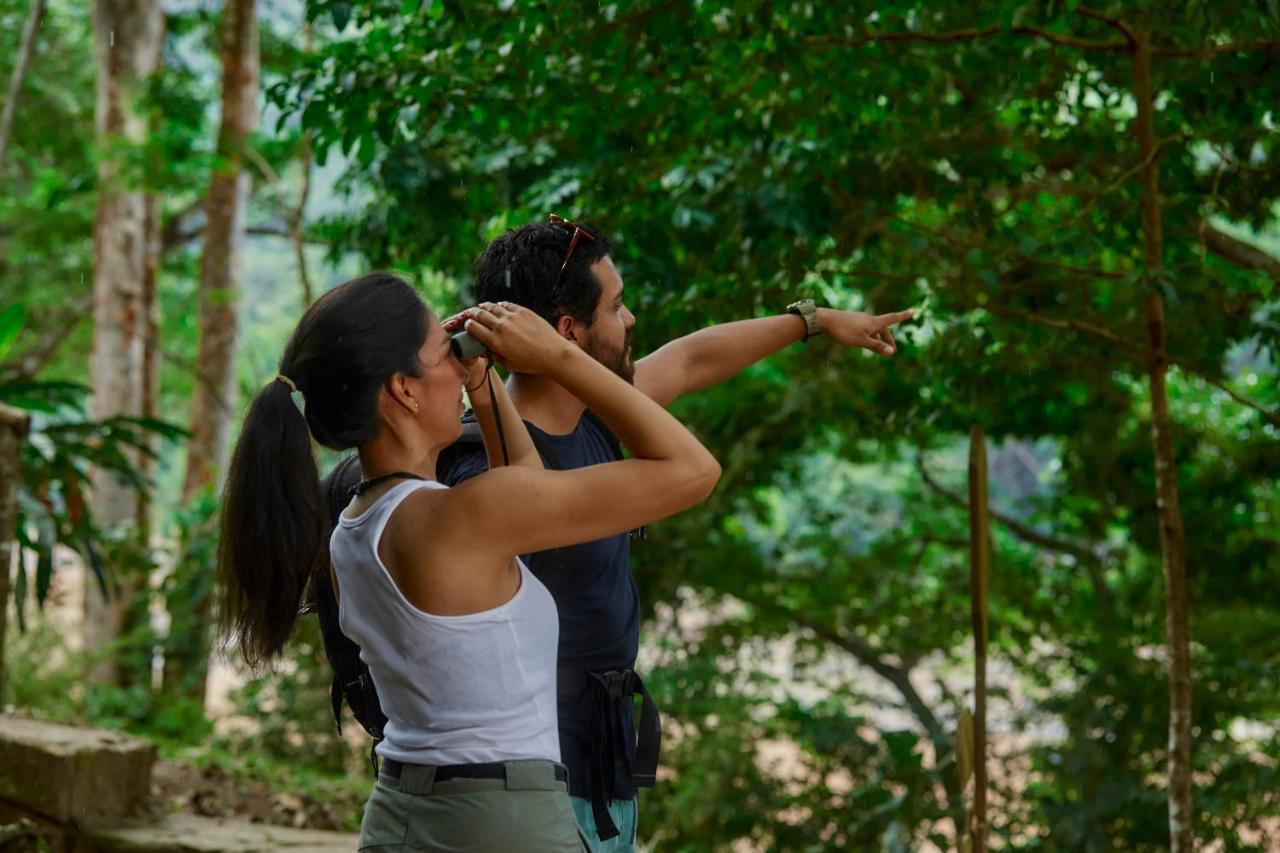 Pumarinri Amazon Lodge Tarapoto Εξωτερικό φωτογραφία