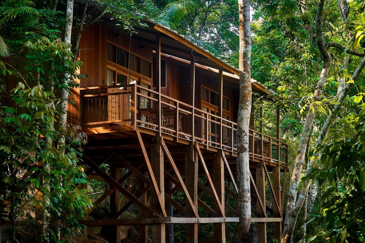 Pumarinri Amazon Lodge Tarapoto Εξωτερικό φωτογραφία