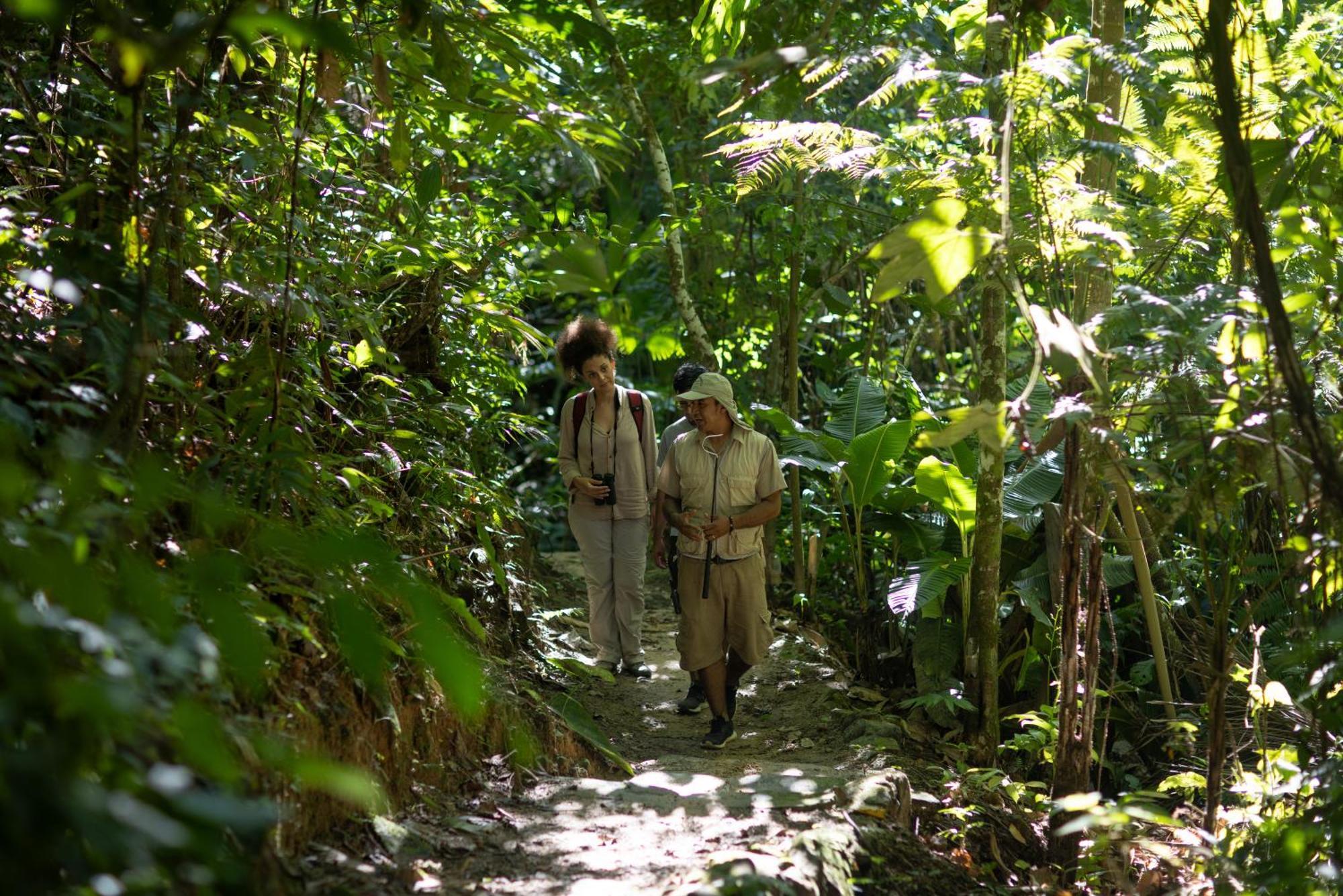 Pumarinri Amazon Lodge Tarapoto Εξωτερικό φωτογραφία