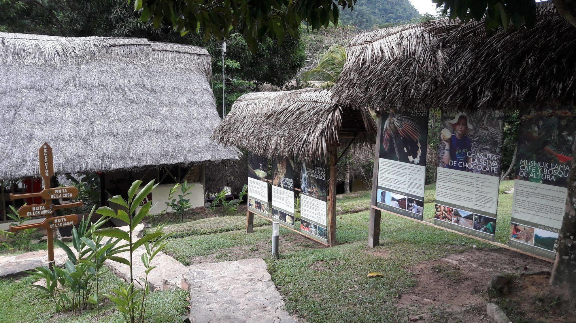 Pumarinri Amazon Lodge Tarapoto Εξωτερικό φωτογραφία